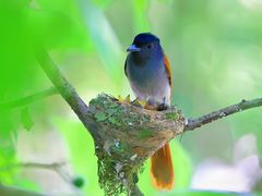 -桤木河湿地公园