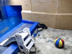 -太平洋海底世界