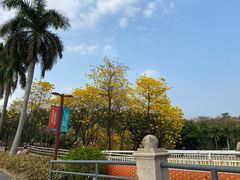 -仙湖旅游度假区