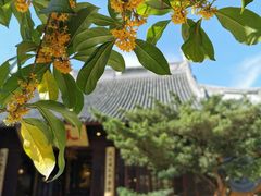 -龙华寺