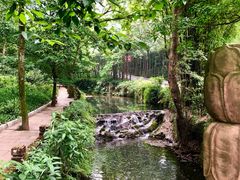 -峨眉山报国寺