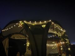 -春花秋色城市公园