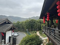 -大唐贡茶院