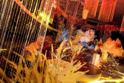 -屿爱摄影优选店