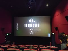 -万达影城(城中城广场IMAX店)