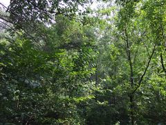 iphone_upload_pic-连云港云龙涧原生态风景区