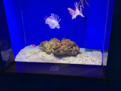 -常州海昌海洋探索馆