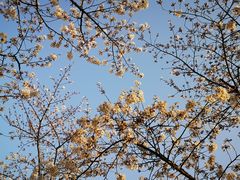 -龙美术馆(西岸馆)