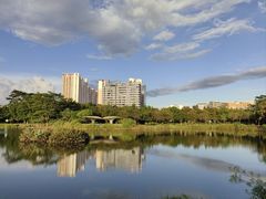 -福田红树林生态公园