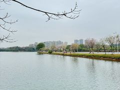 -松山湖风景区松湖烟雨