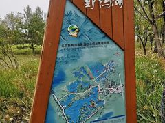 -野鸭湖国家湿地公园