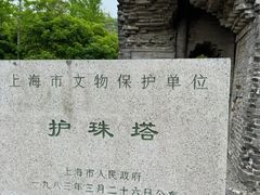 -上海佘山国家森林公园天马山园