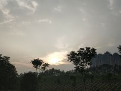 -帕帕拉兹宠物(亚洲旗舰店)