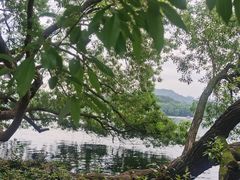 -西溪国家湿地公园