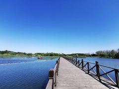 -溱湖国家湿地公园