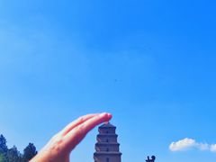 -盒马鲜生(文景博乐里购物广场店)