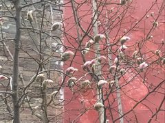 -东华门大街小区