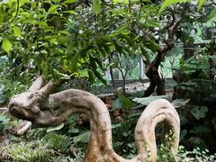 -南通洲际绿博园