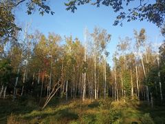 -长春市南湖公园