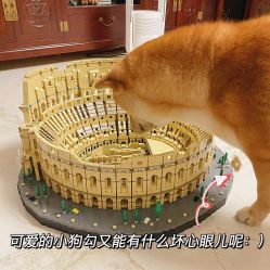 -LEGO(国贸商城店)