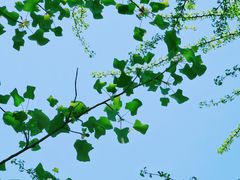 -尚湖风景区