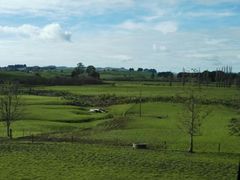 -怀托摩萤火虫洞