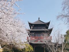 -堤角公园