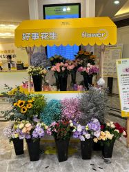 -深圳阳光医疗美容