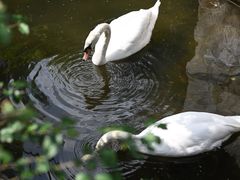 -荔湾湖公园