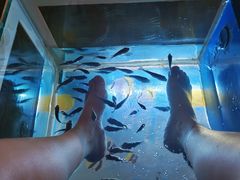 -汤连得温泉馆(宝山店)