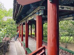 -迎泽公园