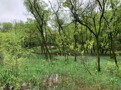 -西湖风景区-江洋畈生态公园