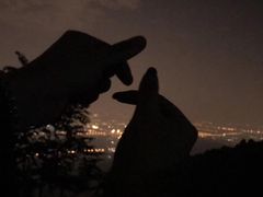 -鬼笑石后山停车场