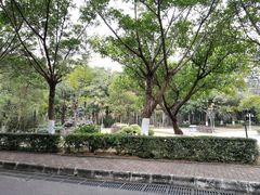 -滴水岩森林公园