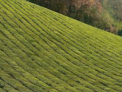 -敬亭山风景名胜区