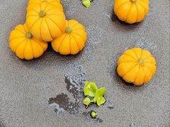 -鱼痴渔醉·食鲜集(青山江滩店)