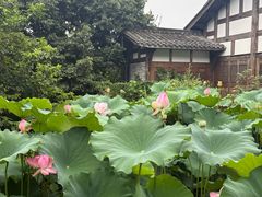 -莫催咖啡