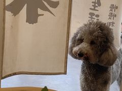 -沏点Trattoria意大利餐厅(新街口店)