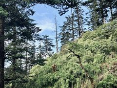 -瓦屋山景区
