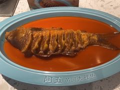 -阿五黄河大鲤鱼(英协路店)