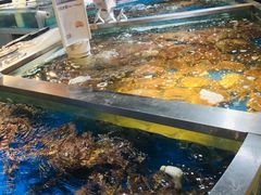 -盒马鲜生(杭州运河上街店)