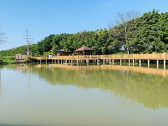 -大湾区中央湿地公园