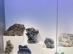 -重庆自然博物馆(新馆)