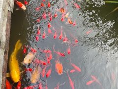 -聚缘堂·海鲜私房菜(松岭路店)