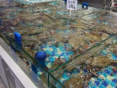-小海丁
