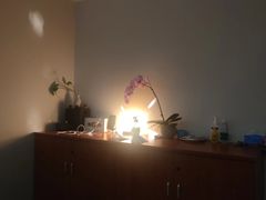 -逸栈养生SPA(望京店)