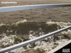 -海河外滩公园