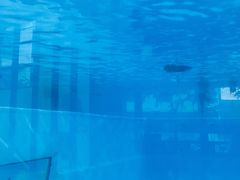 -上海潜殿潜水中心