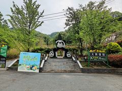 -栾川竹海野生动物园