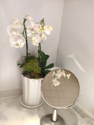 -MissParis·DandyHouse日本直营美容店蜜丝芭莉丹邸好士